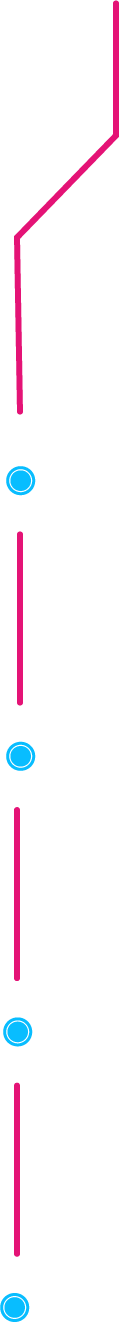 garis langkah-langkah